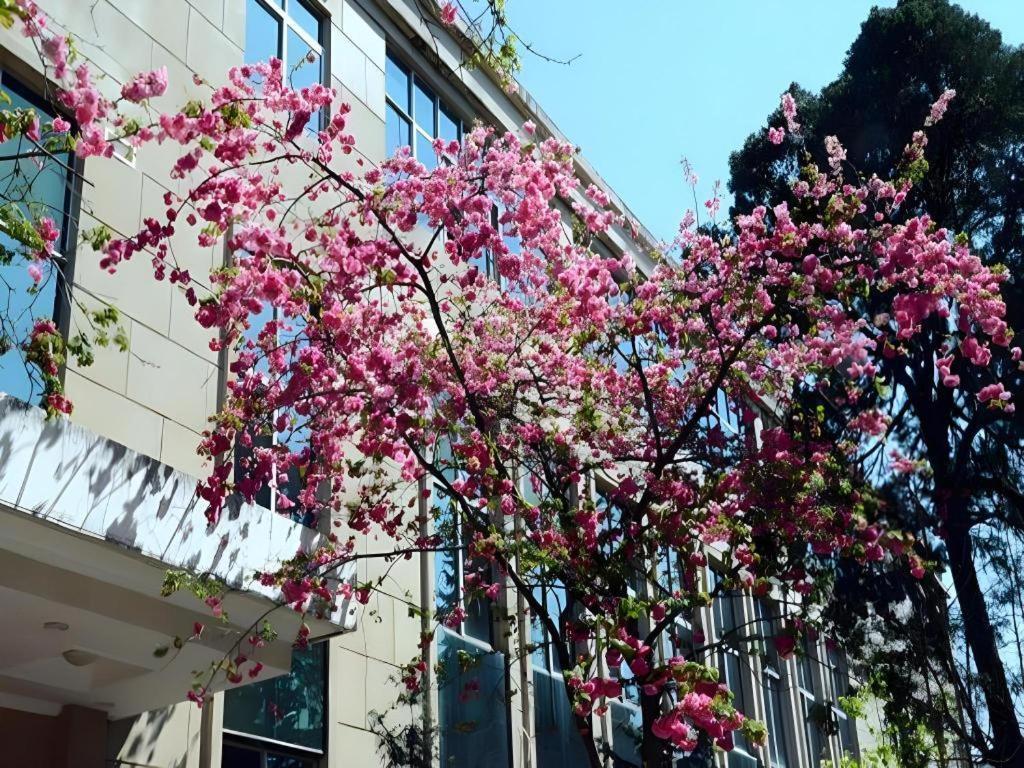 昆明 云南连云宾馆酒店 外观 照片